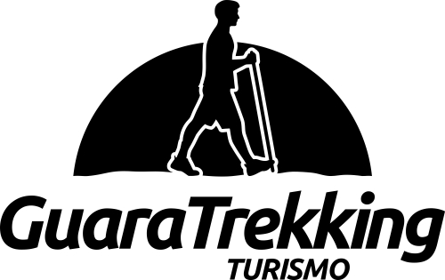 Logotipo Aplicação em uma cor Logotipo Aplicação em uma cor